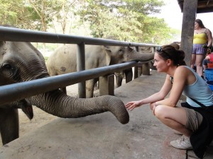 Feeding Elephants